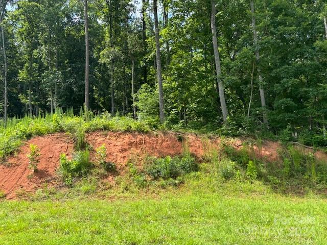 0 Plantation Dr Extension Rutherfordton, NC 28139 - Photo 12 of 18