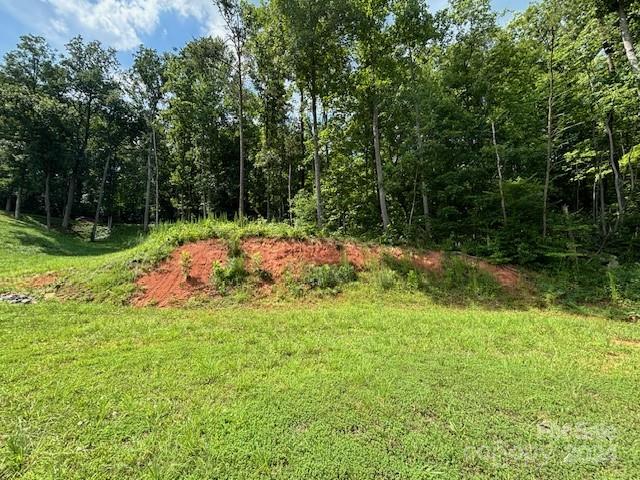 0 Plantation Dr Extension Rutherfordton, NC 28139 - Photo 13 of 18