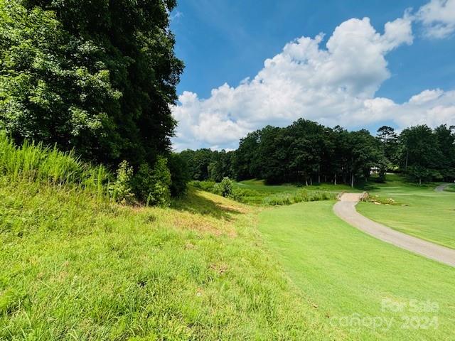 0 Plantation Dr Extension Rutherfordton, NC 28139 - Photo 14 of 18