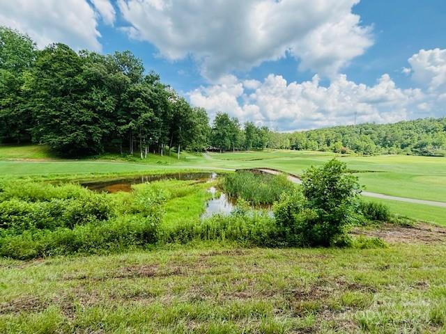 0 Plantation Dr Extension Rutherfordton, NC 28139 - Photo 15 of 18
