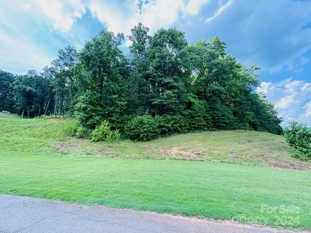 0 Plantation Dr Extension Rutherfordton, NC 28139 - Photo 16 of 18