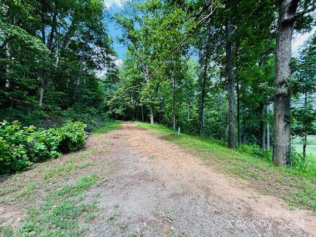 0 Plantation Dr Extension Rutherfordton, NC 28139 - Photo 2 of 18