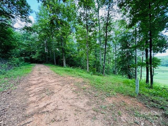0 Plantation Dr Extension Rutherfordton, NC 28139 - Photo 3 of 18