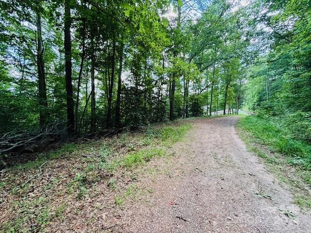 0 Plantation Dr Extension Rutherfordton, NC 28139 - Photo 4 of 18