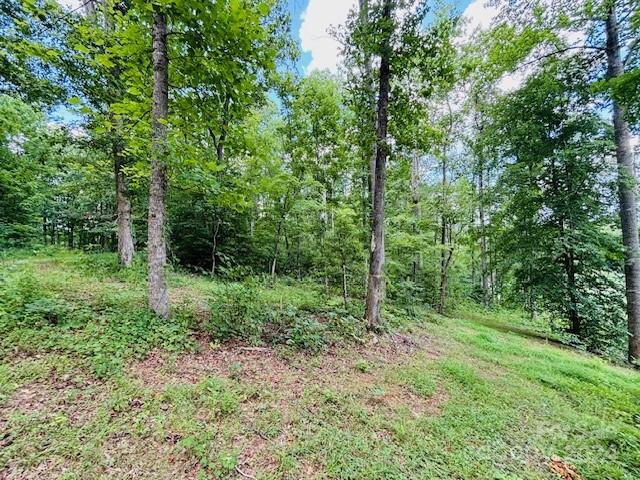 0 Plantation Dr Extension Rutherfordton, NC 28139 - Photo 5 of 18