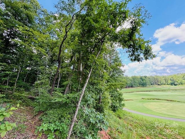 0 Plantation Dr Extension Rutherfordton, NC 28139 - Photo 6 of 18