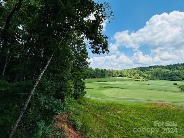 0 Plantation Dr Extension Rutherfordton, NC 28139 - Photo 7 of 18