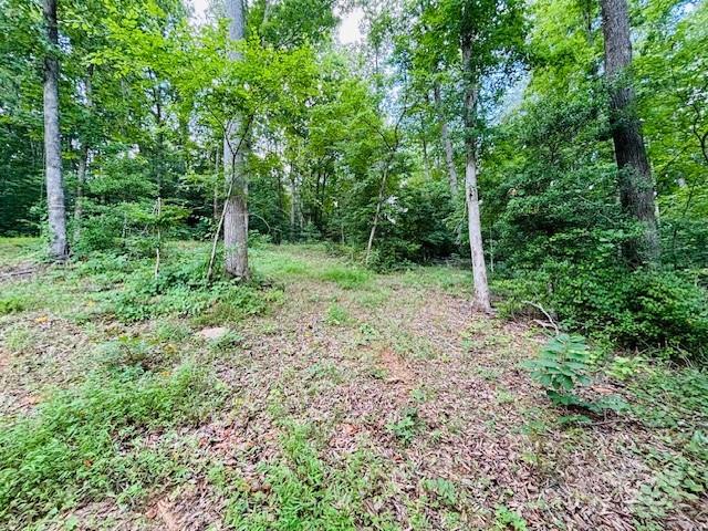 0 Plantation Dr Extension Rutherfordton, NC 28139 - Photo 8 of 18