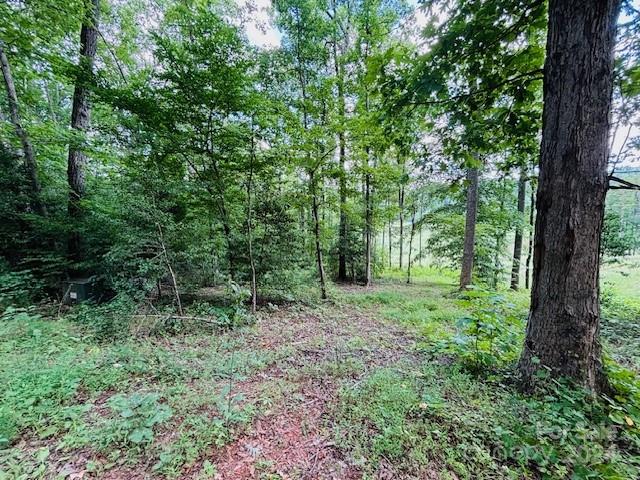0 Plantation Dr Extension Rutherfordton, NC 28139 - Photo 9 of 18