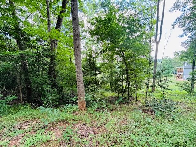 0 Plantation Dr Extension Rutherfordton, NC 28139 - Photo 10 of 18