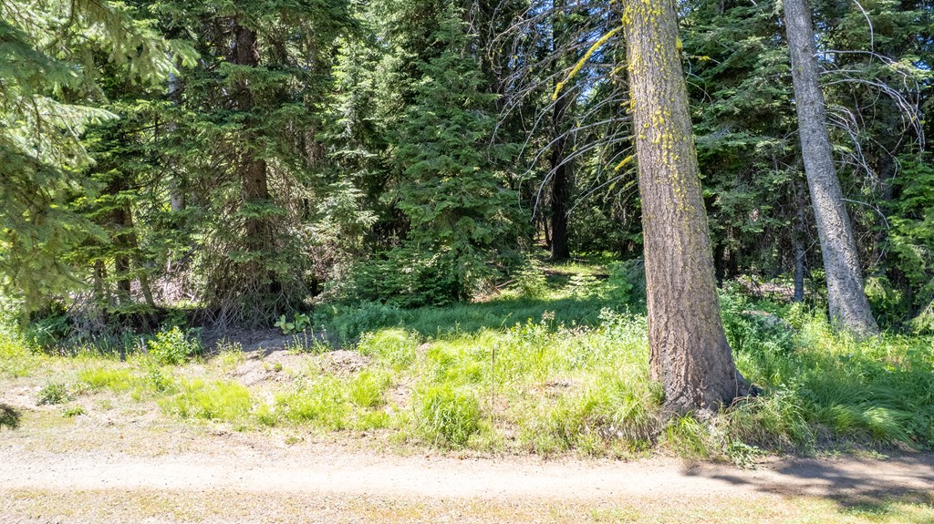 2207 Davy Road, Unit 23 Donnelly, ID 83615 - Photo 9 of 12 View to the north
