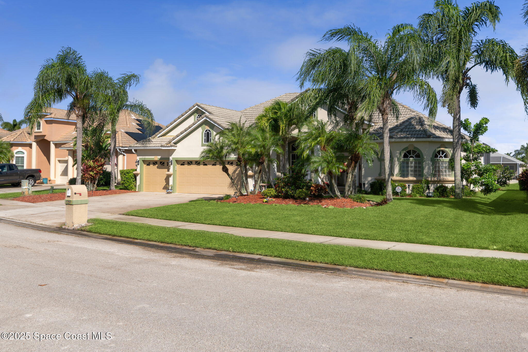 a front view of a house with a yard and palm tree