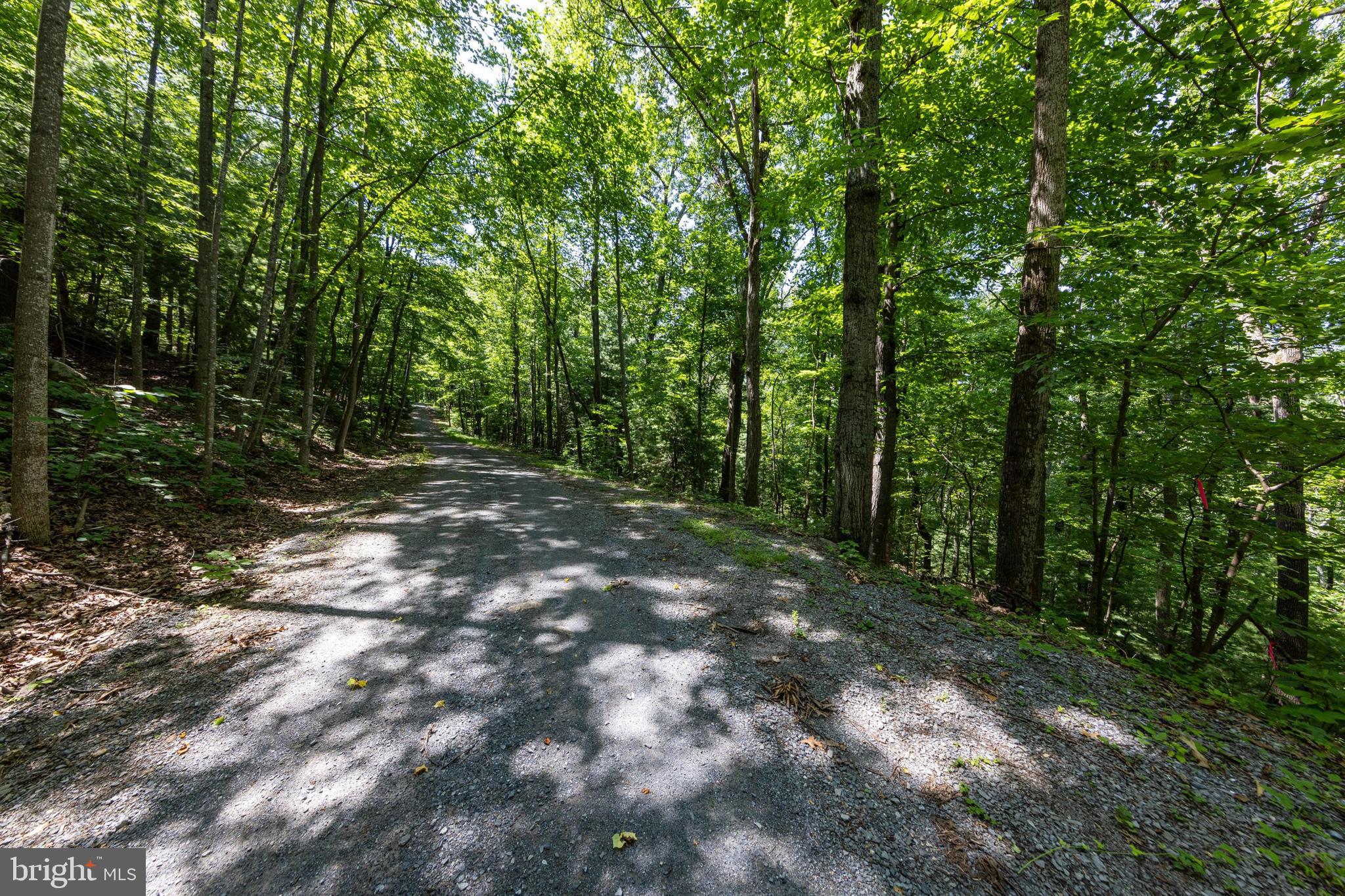 0 Helms Road Stanley, VA 22851 - Photo 30 of 50