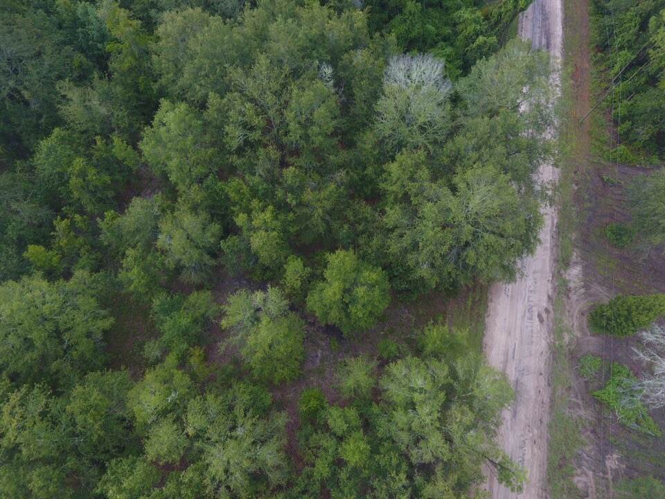 Northeast Reagan Road, Unit 1 Madison, FL 32340 - Photo 1 of 22 Gallery Image 1