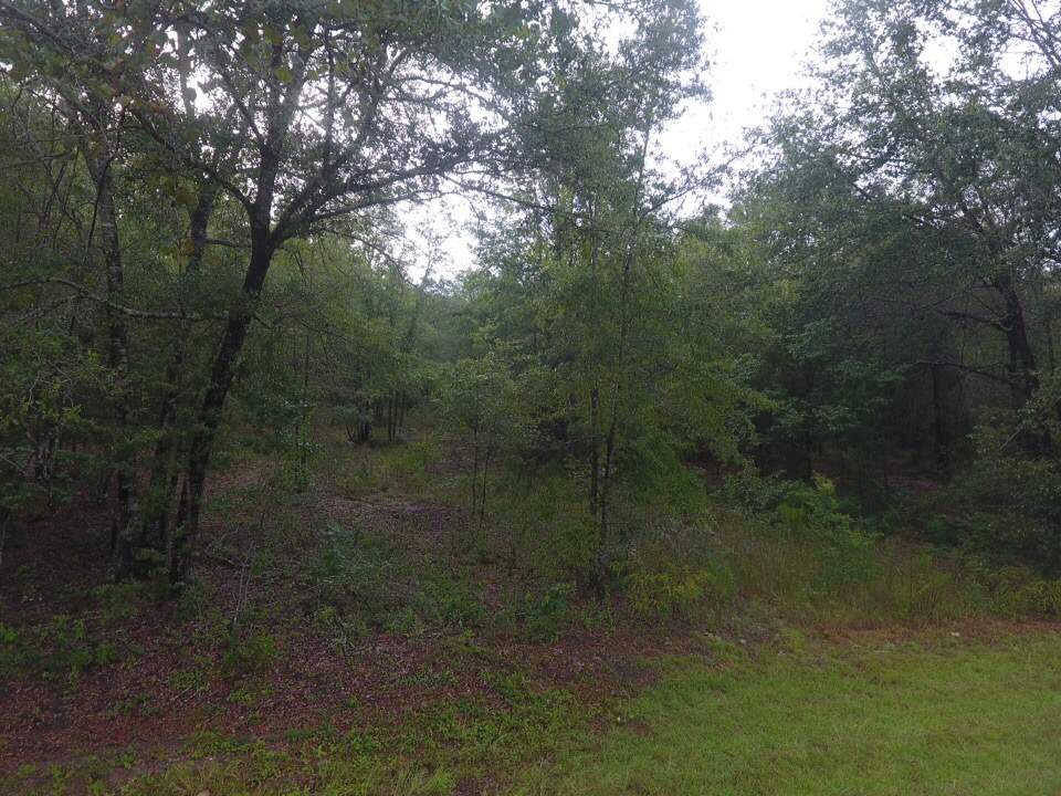 Northeast Reagan Road, Unit 1 Madison, FL 32340 - Photo 11 of 22 Gallery Image 11
