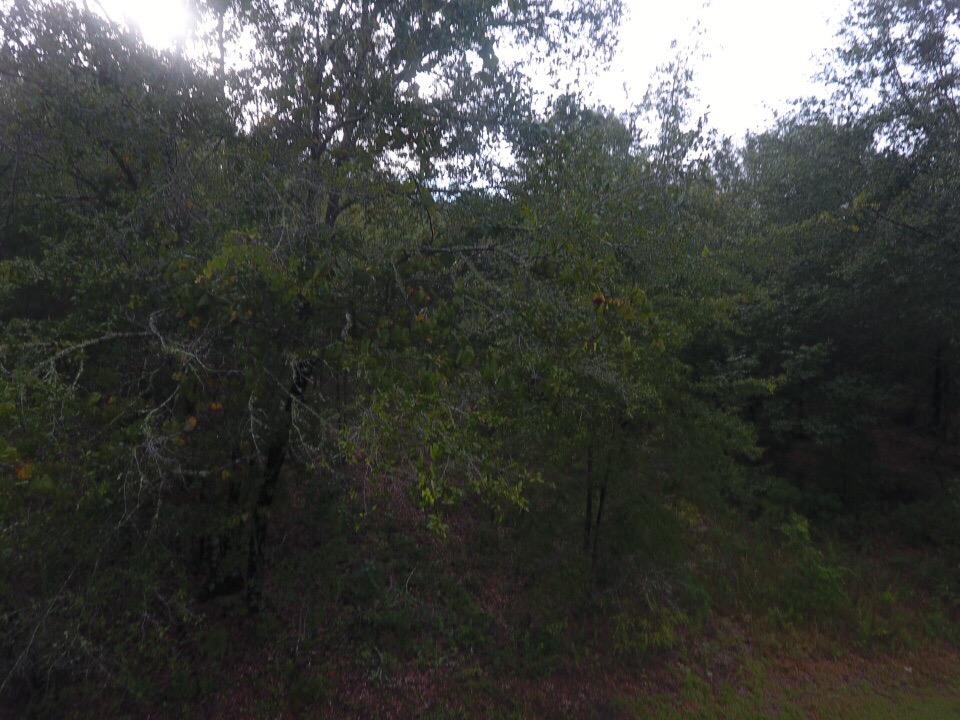 Northeast Reagan Road, Unit 1 Madison, FL 32340 - Photo 12 of 22 Gallery Image 12