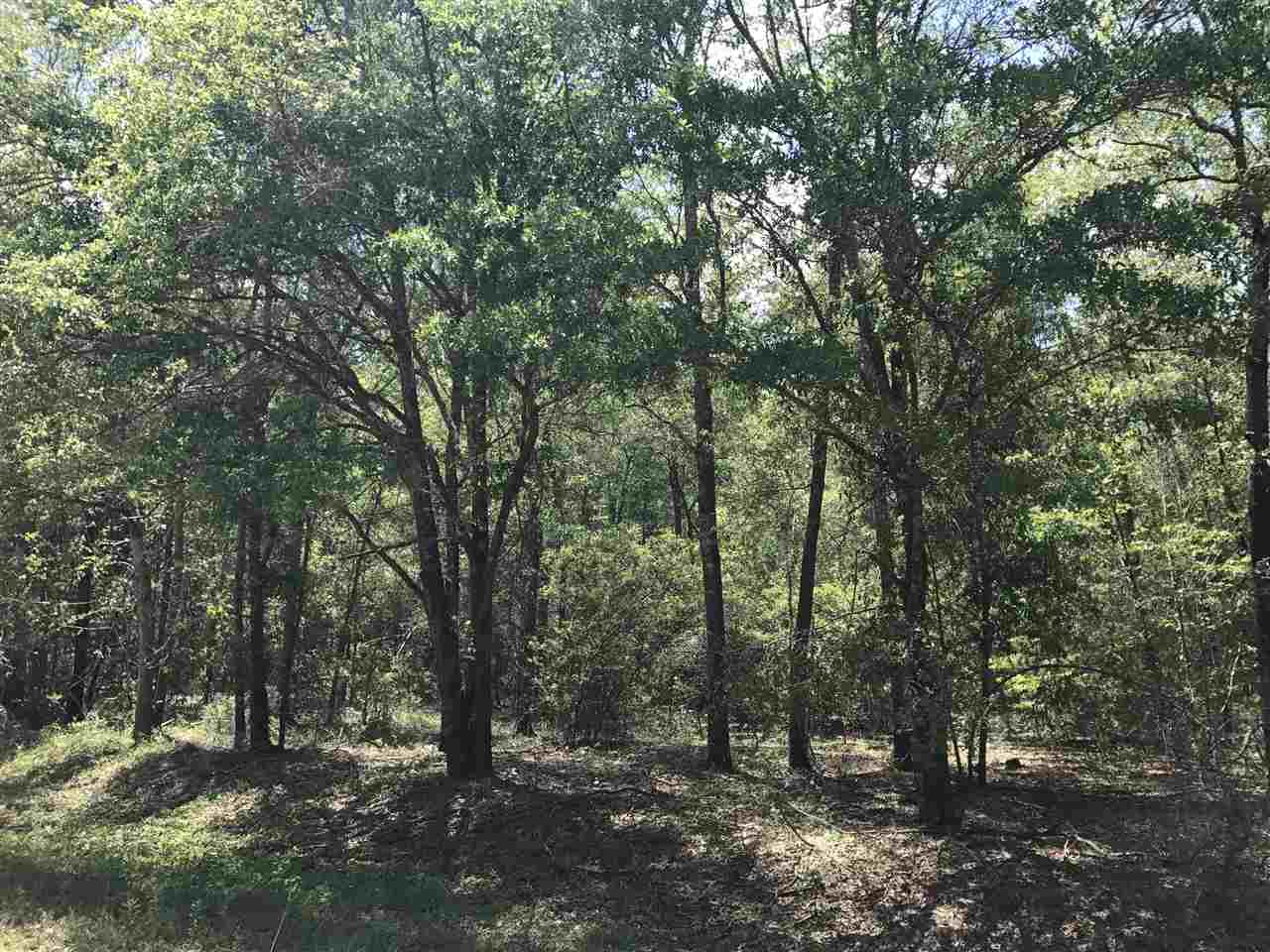 Northeast Reagan Road, Unit 1 Madison, FL 32340 - Photo 15 of 22 Gallery Image 15