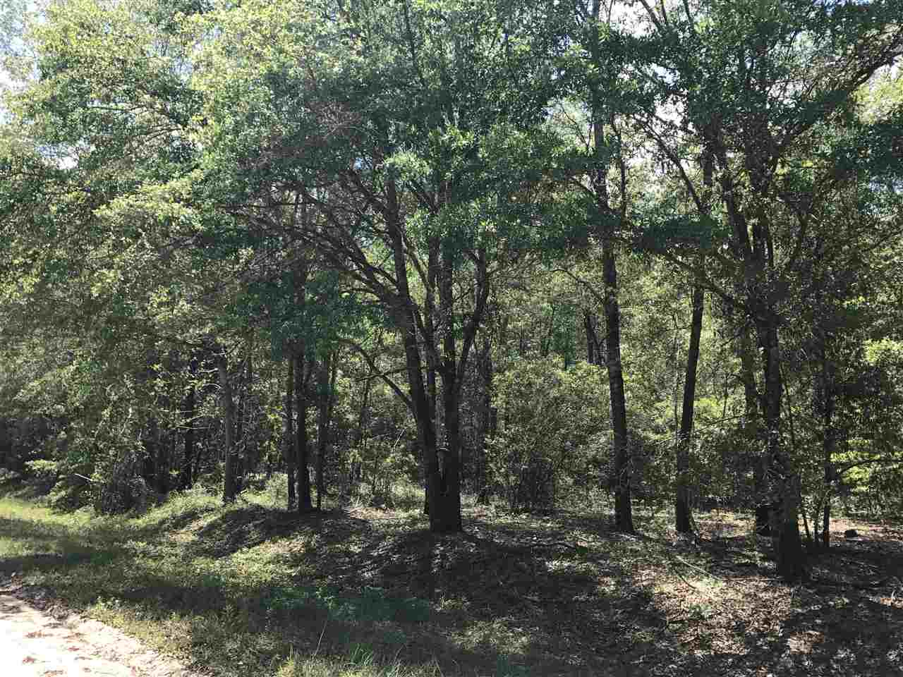 Northeast Reagan Road, Unit 1 Madison, FL 32340 - Photo 16 of 22 Gallery Image 16