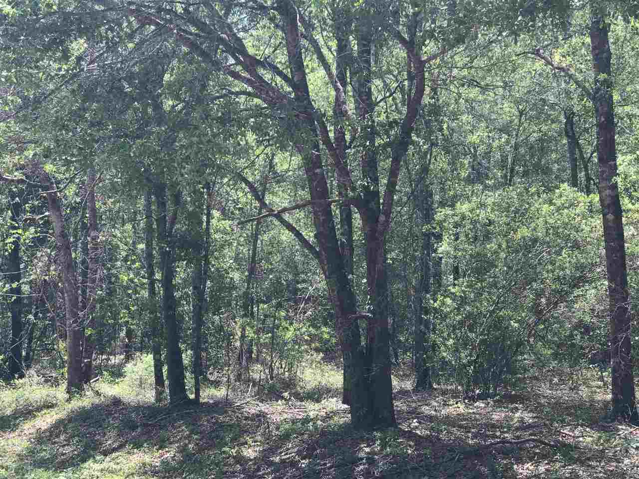 Northeast Reagan Road, Unit 1 Madison, FL 32340 - Photo 17 of 22 Gallery Image 17