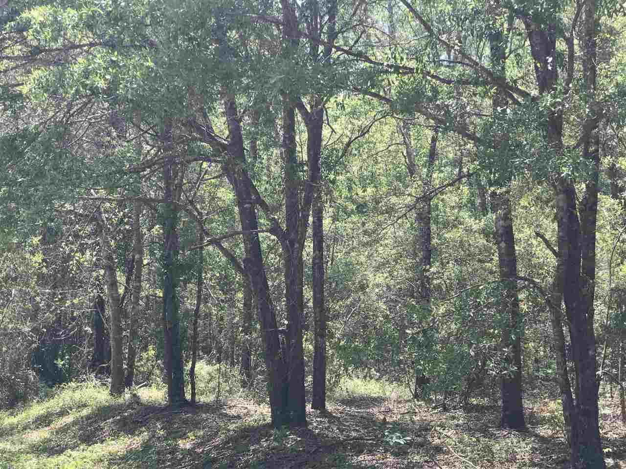 Northeast Reagan Road, Unit 1 Madison, FL 32340 - Photo 18 of 22 Gallery Image 18