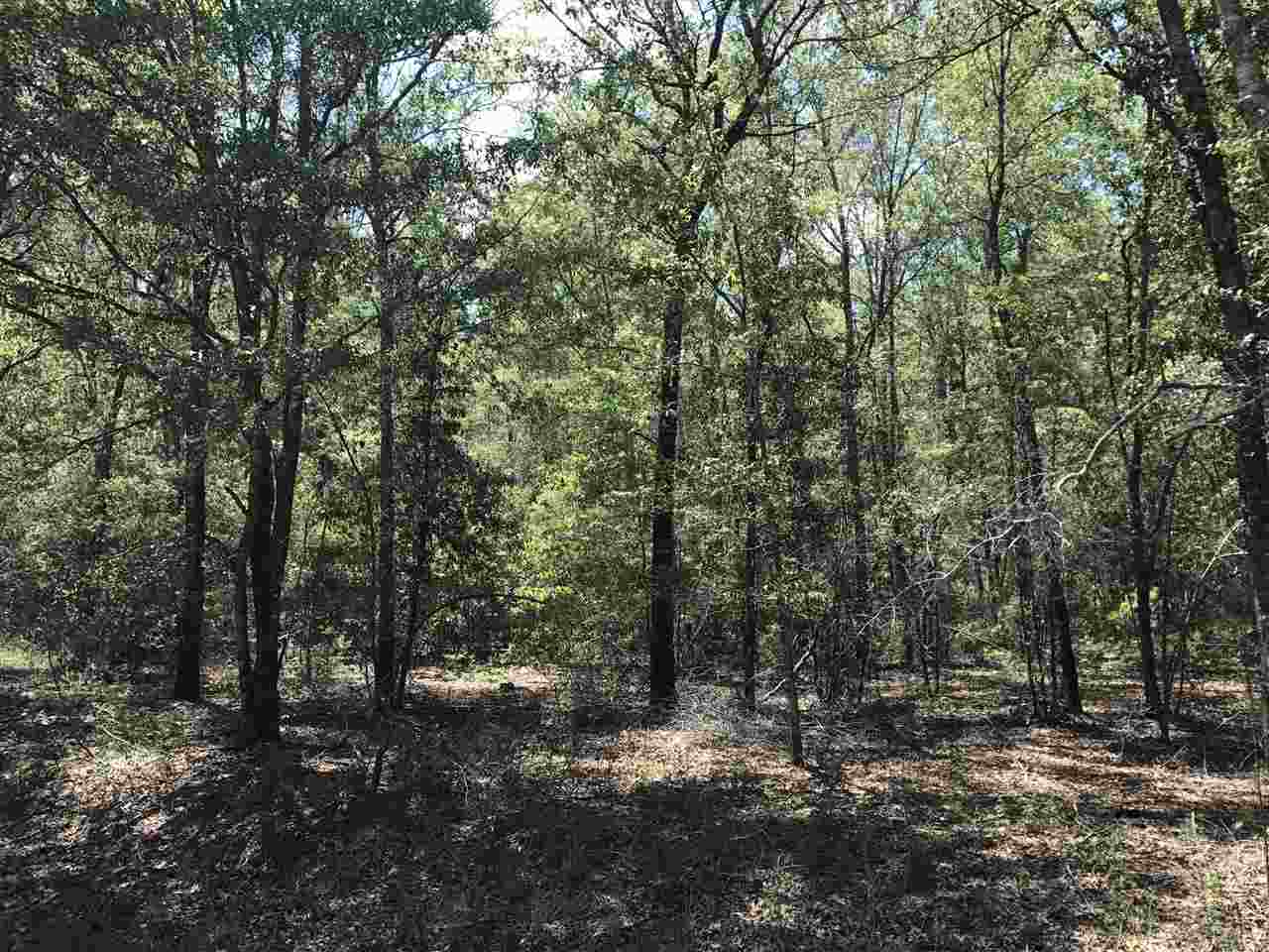Northeast Reagan Road, Unit 1 Madison, FL 32340 - Photo 20 of 22 Gallery Image 20