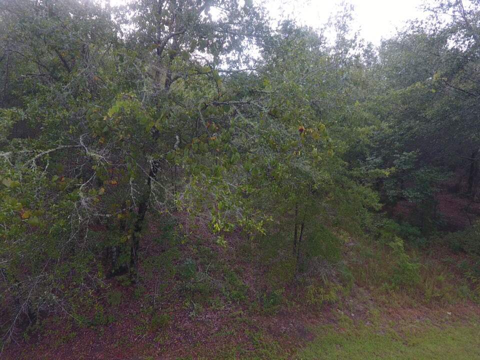 Northeast Reagan Road, Unit 1 Madison, FL 32340 - Photo 2 of 22 Gallery Image 2