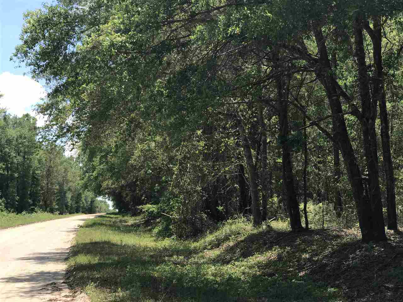 Northeast Reagan Road, Unit 1 Madison, FL 32340 - Photo 22 of 22 Gallery Image 22