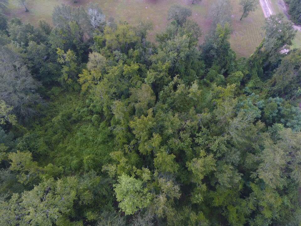 Northeast Reagan Road, Unit 1 Madison, FL 32340 - Photo 4 of 22 Gallery Image 4