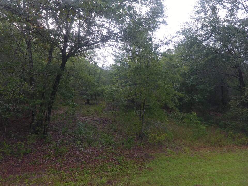 Northeast Reagan Road, Unit 1 Madison, FL 32340 - Photo 6 of 22 Gallery Image 6