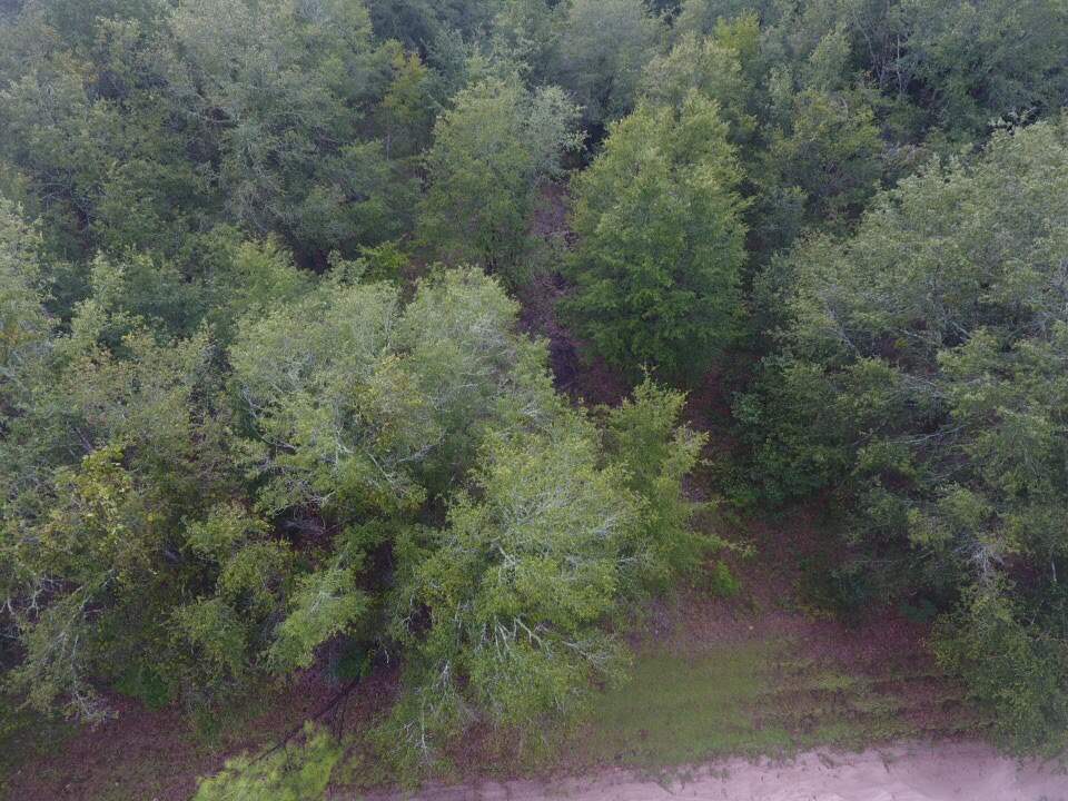 Northeast Reagan Road, Unit 1 Madison, FL 32340 - Photo 8 of 22 Gallery Image 8