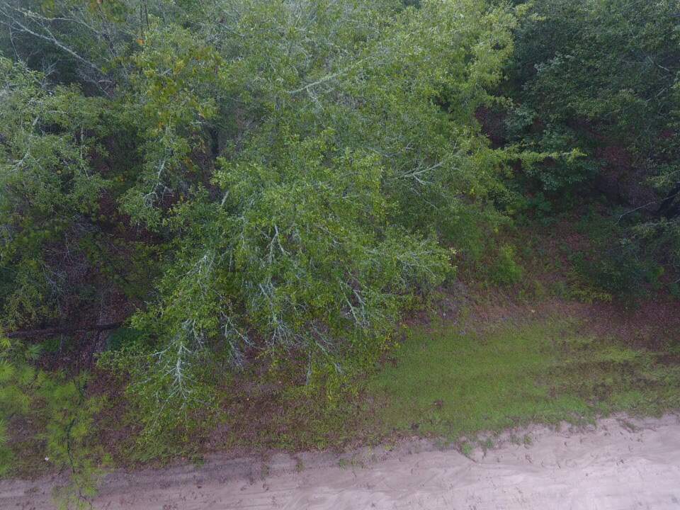 Northeast Reagan Road, Unit 1 Madison, FL 32340 - Photo 9 of 22 Gallery Image 9