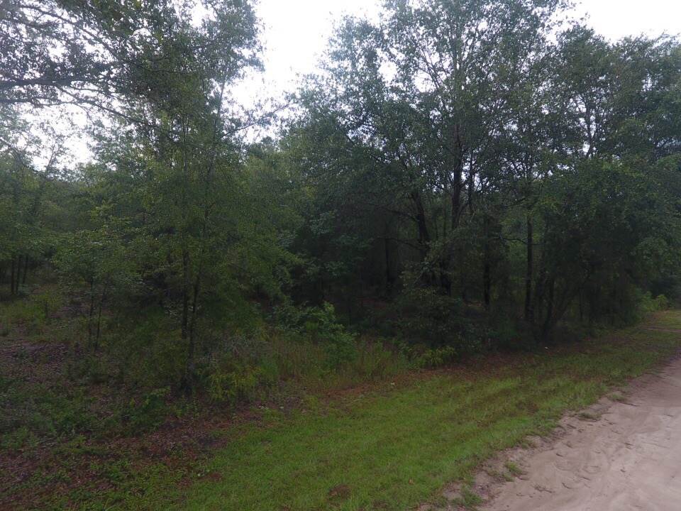 Northeast Reagan Road, Unit 1 Madison, FL 32340 - Photo 10 of 22 Gallery Image 10