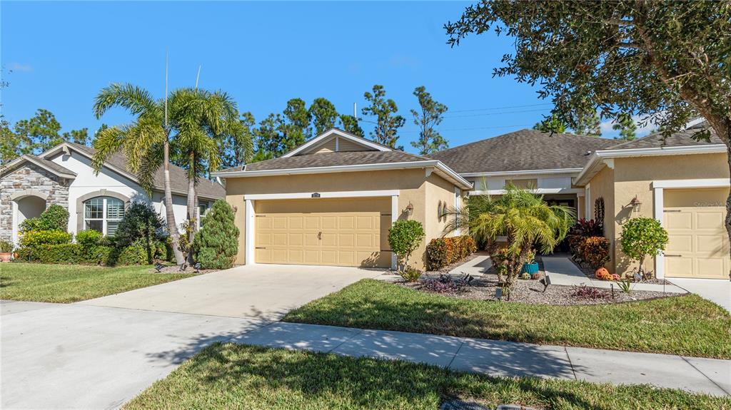 11714 Wrought Pine Loop Riverview, FL 33569 - Photo 2 of 38
