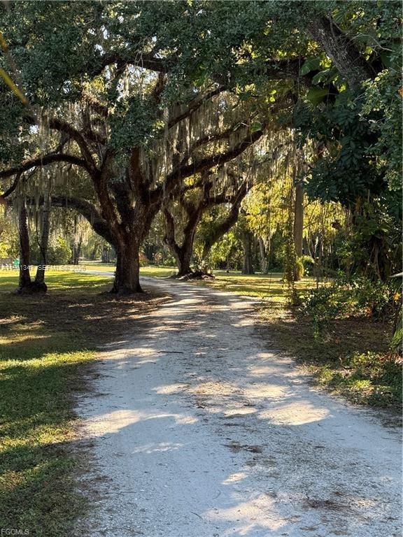 1345 Barrett Road North Fort Myers, FL 33903 - Photo 1 of 27 a view of road with trees