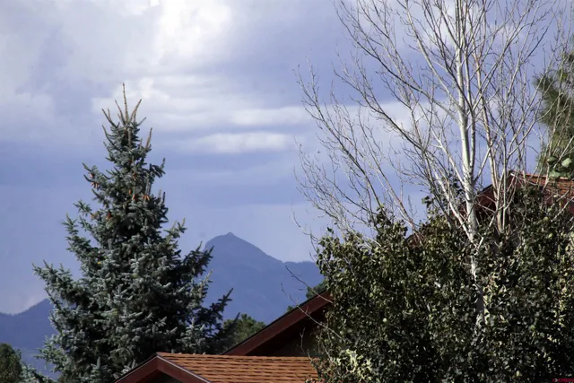 a view of a bunch of trees