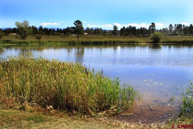 $39,500 | 49 Paradise Drive, Pagosa Springs, CO 81147