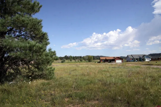 a view of spacious house with a big yard