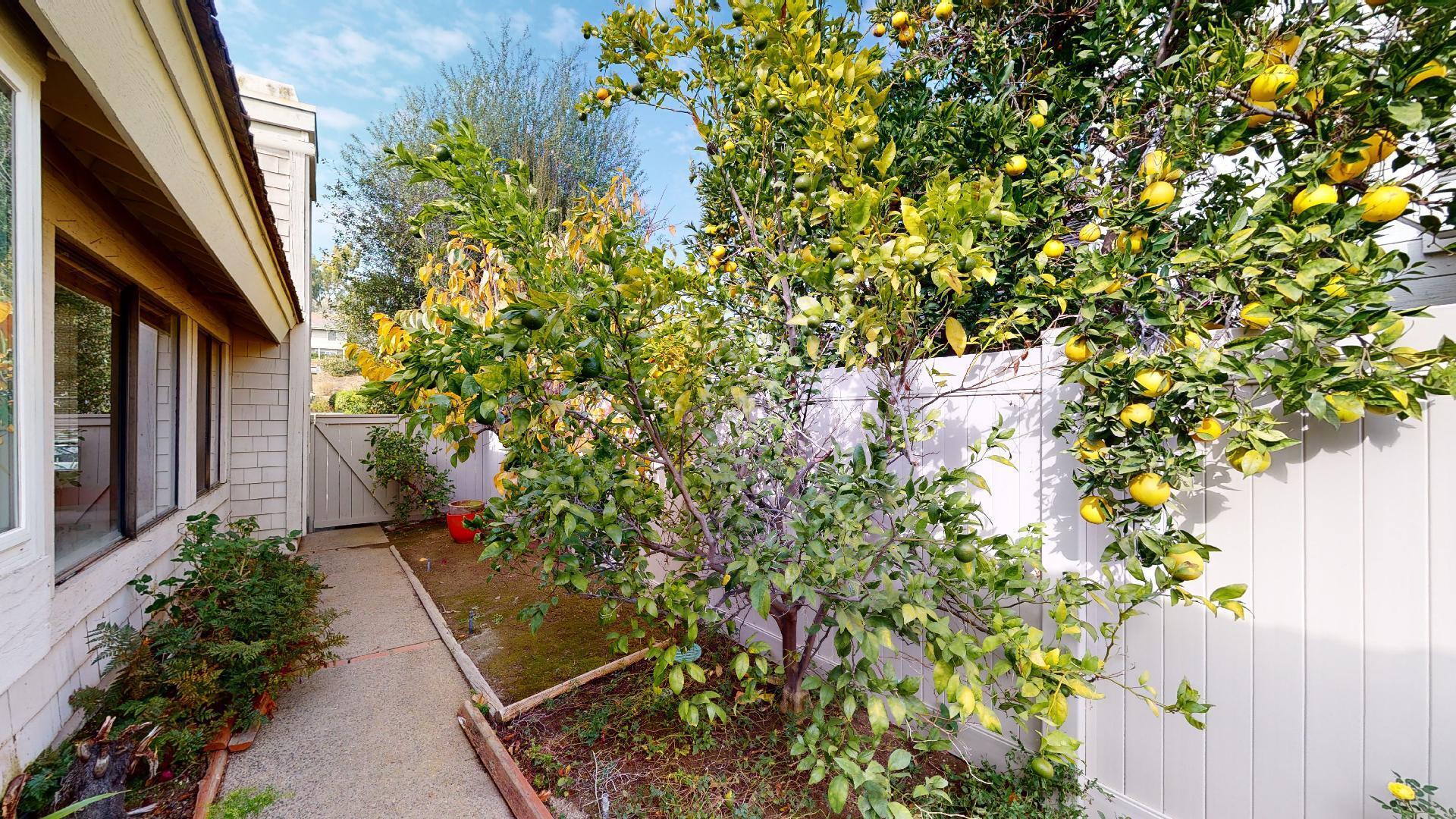 8 Elderberry Irvine, CA 92603 - Photo 52 of 59 8-Elderberry-11202021_193720