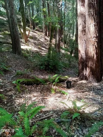 $185,000 | 19800 Appaloosa Way, Navarro, CA 95463