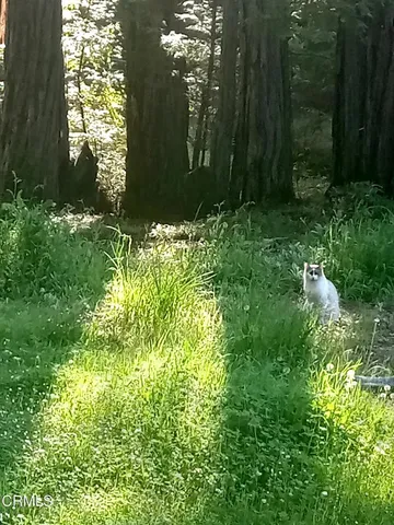 $198,000 | 19800 Appaloosa Way, Navarro, CA 95463