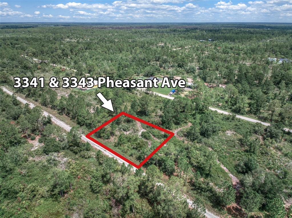 3343 Pheasant Ave Lk  
