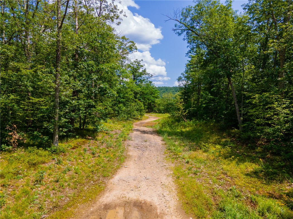 L16 MT Path Middleburgh, NY 12122 - Photo 2 of 29