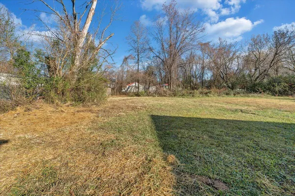 a view of a yard with large trees