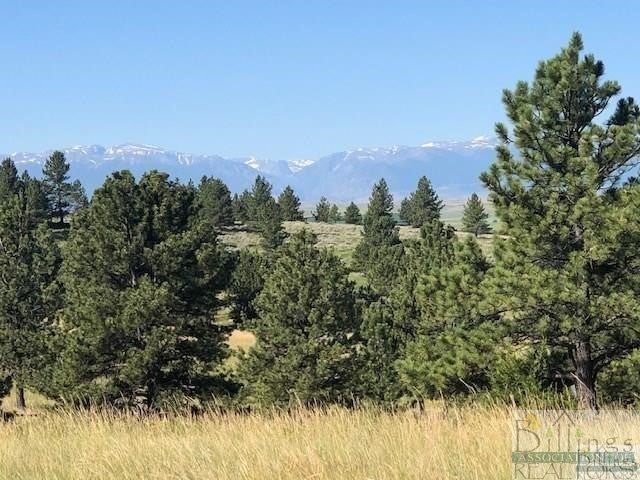 326 Shane Ridge Road Columbus, MT 59019 - Photo 1 of 1 Gallery Image 1