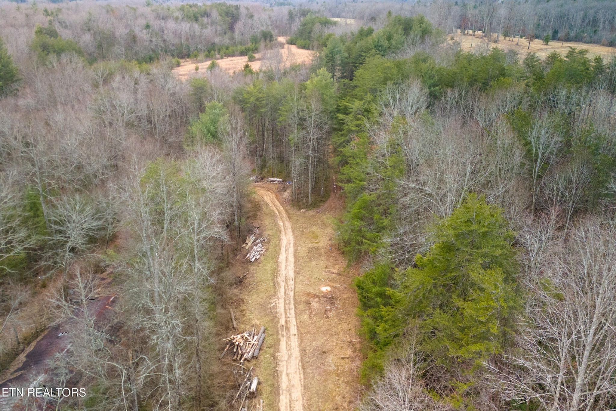 1567 Twin Bridge Road Deer Lodge, TN 37726 - Photo 16 of 26 Gallery Image 16