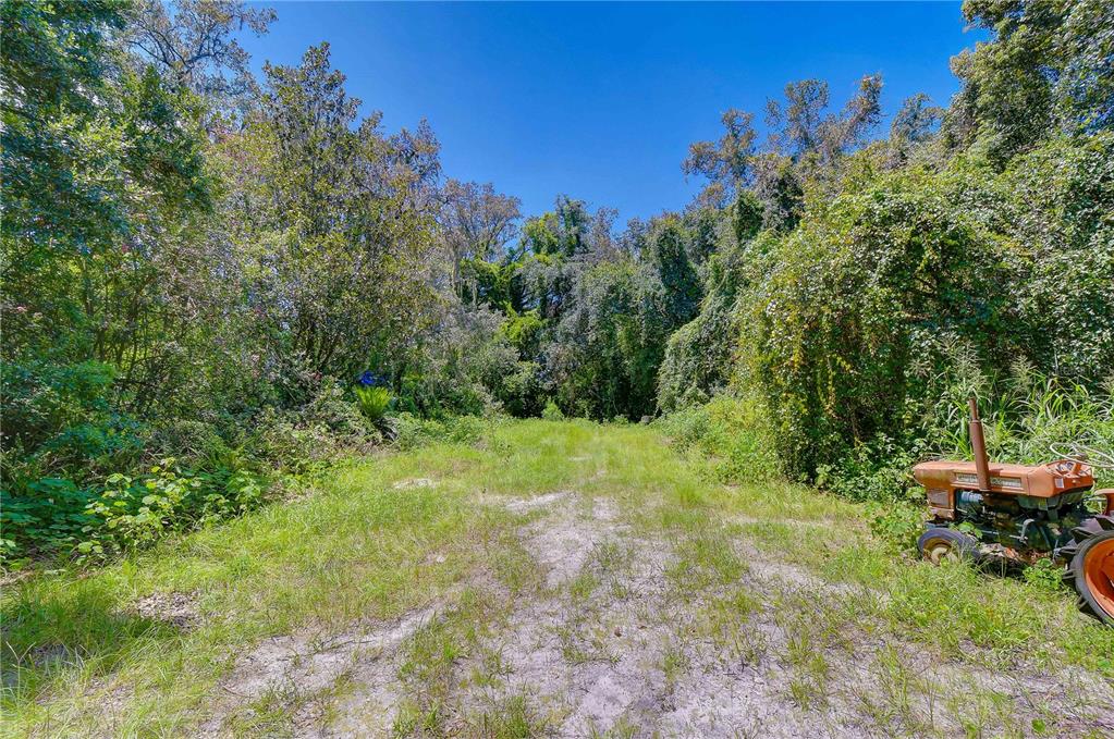 3801 Pate Road Zephyrhills, FL 33541 - Photo 33 of 63 Gallery Image 33