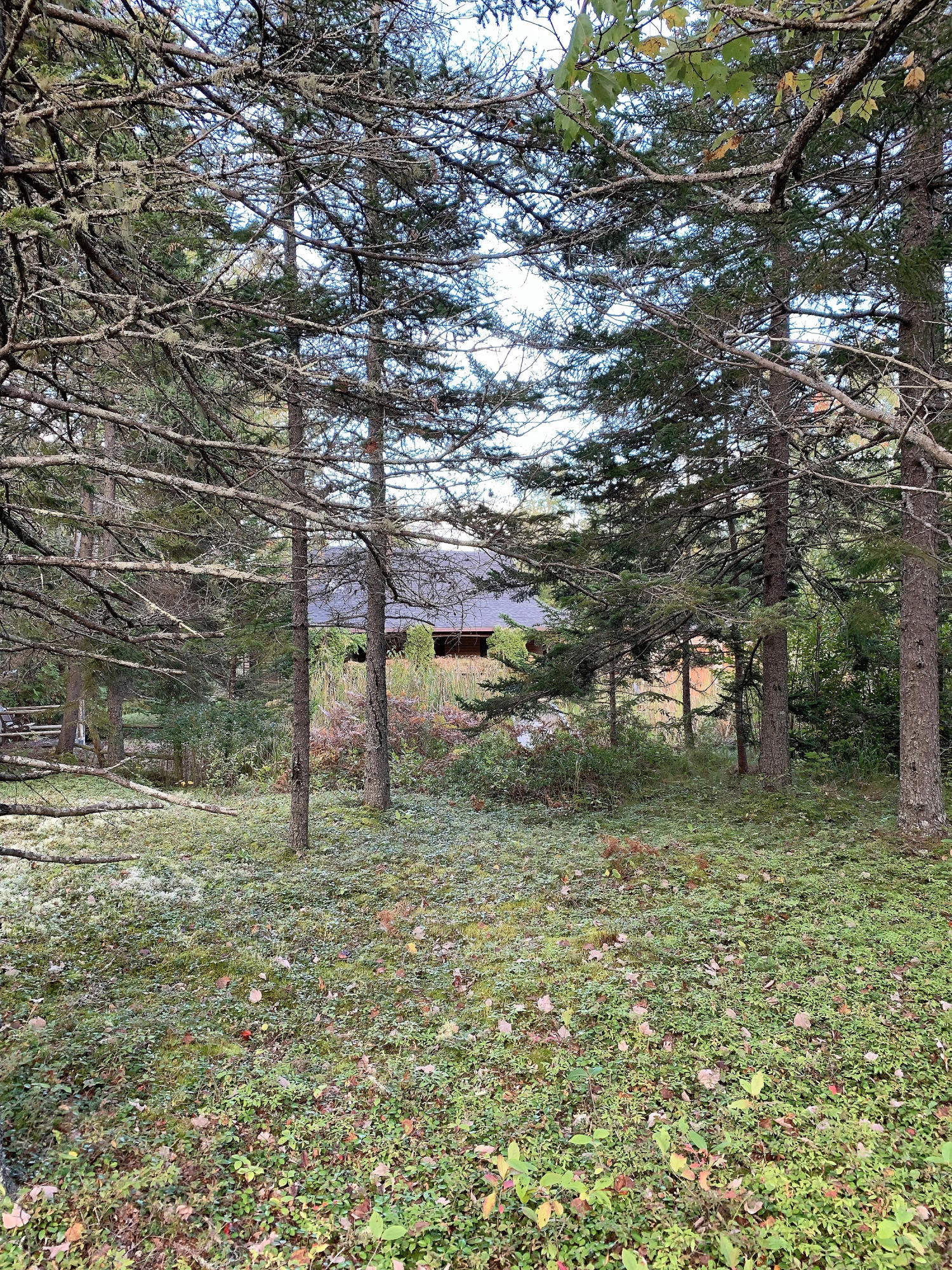 119 Kelleytown Road Bernard, ME 04612 - Photo 22 of 50 119 Kelleytown_022
