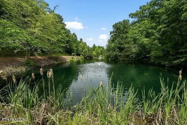 $8,880,000 | Undisclosed Address, Sevierville, TN 37876