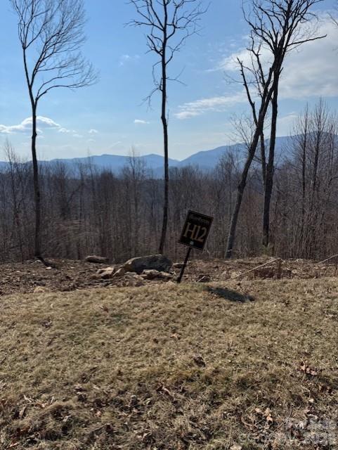 Tbd Heritage Rdg Road, Unit H12 Elk Park, NC 28622 - Photo 2 of 29