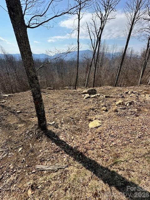 Tbd Heritage Rdg Road, Unit H12 Elk Park, NC 28622 - Photo 3 of 29